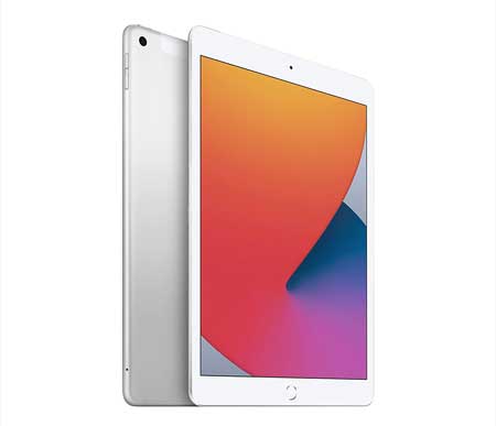 Apple-iPad-(10-inch,-Wi-Fi-+-Cellular,-128GB)---Silver-(Latest-Model,-8th-Generation)